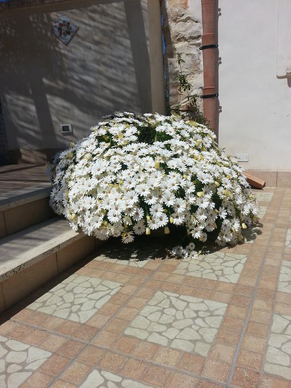 Lovely Cottage Castellammare del Golfo Dış mekan fotoğraf